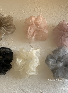 【Follow】韩国东大门同款春夏欧根纱珠光中号仙仙少女扎马尾发圈