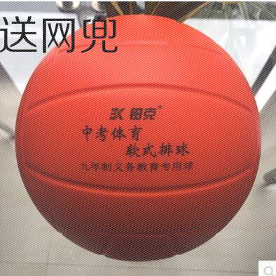 Ballon de volley-ball - Ref 2013176 Image 4