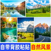 森林风景树木草地湖泊树林绿色大自然墙贴海报壁纸贴画客厅装 饰画