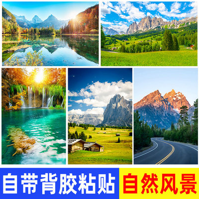 森林风景树木草地湖泊树林绿色大自然墙贴海报壁纸贴画客厅装饰画