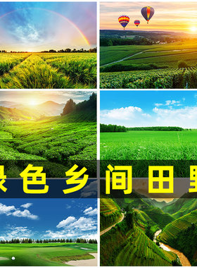 绿色草原乡间田野稻田草地河流装饰壁画大自然风景高清海报墙贴画