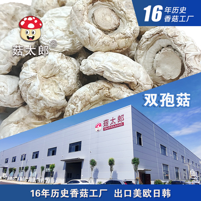 双孢菇口蘑白蘑菇干货营养包邮