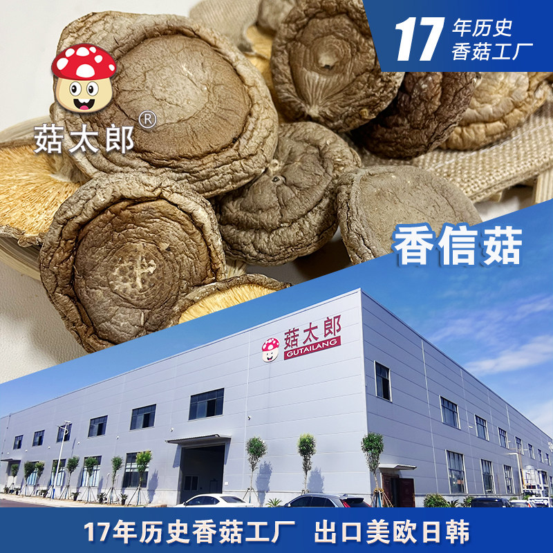 菇太郎香信香菇 产地直发香味薄款香菇 南北干货商用