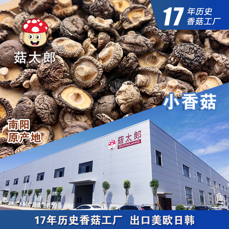 菇太郎小香菇新货金钱菇包邮农家特产迷你纽扣菇干货剪根真空装