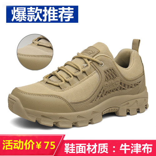 春秋季透气中老年户外休闲登山鞋