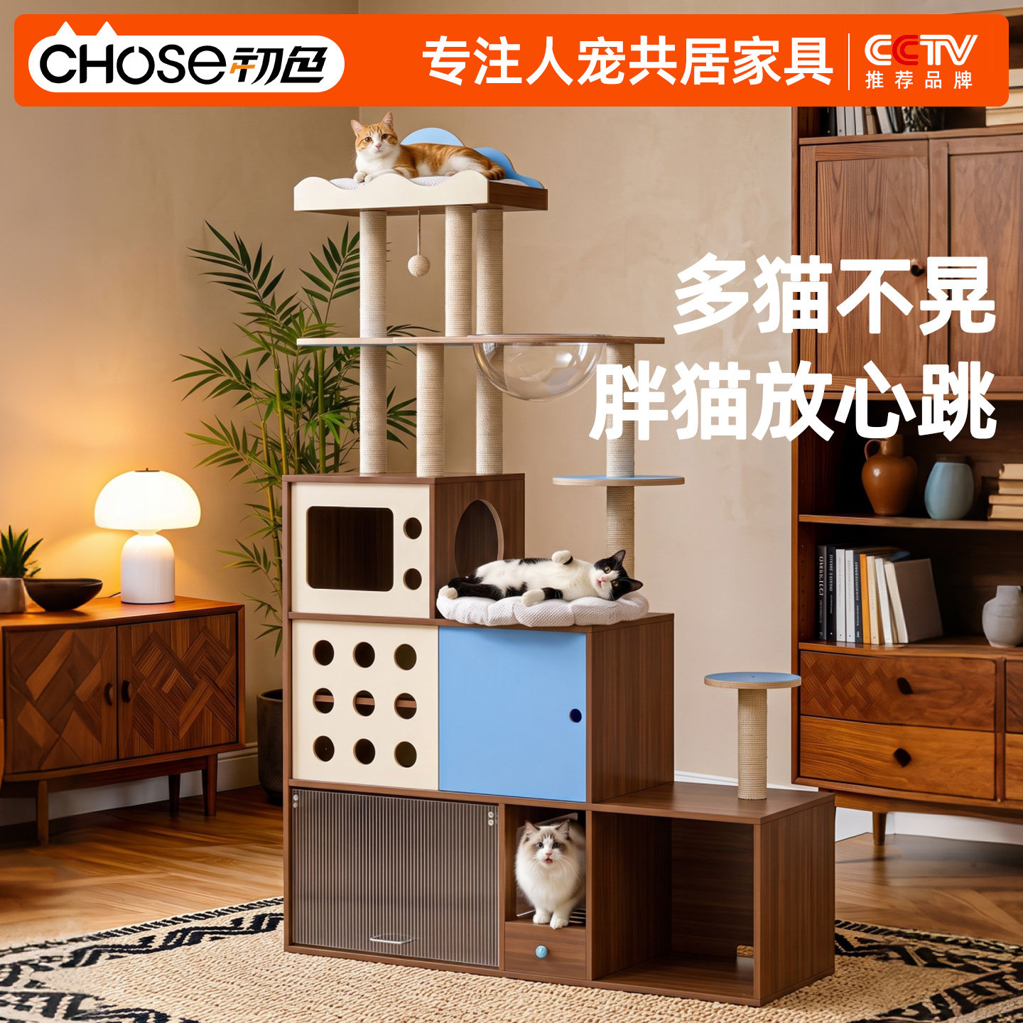 多猫专用猫爬架稳固胖猫放心跳图片