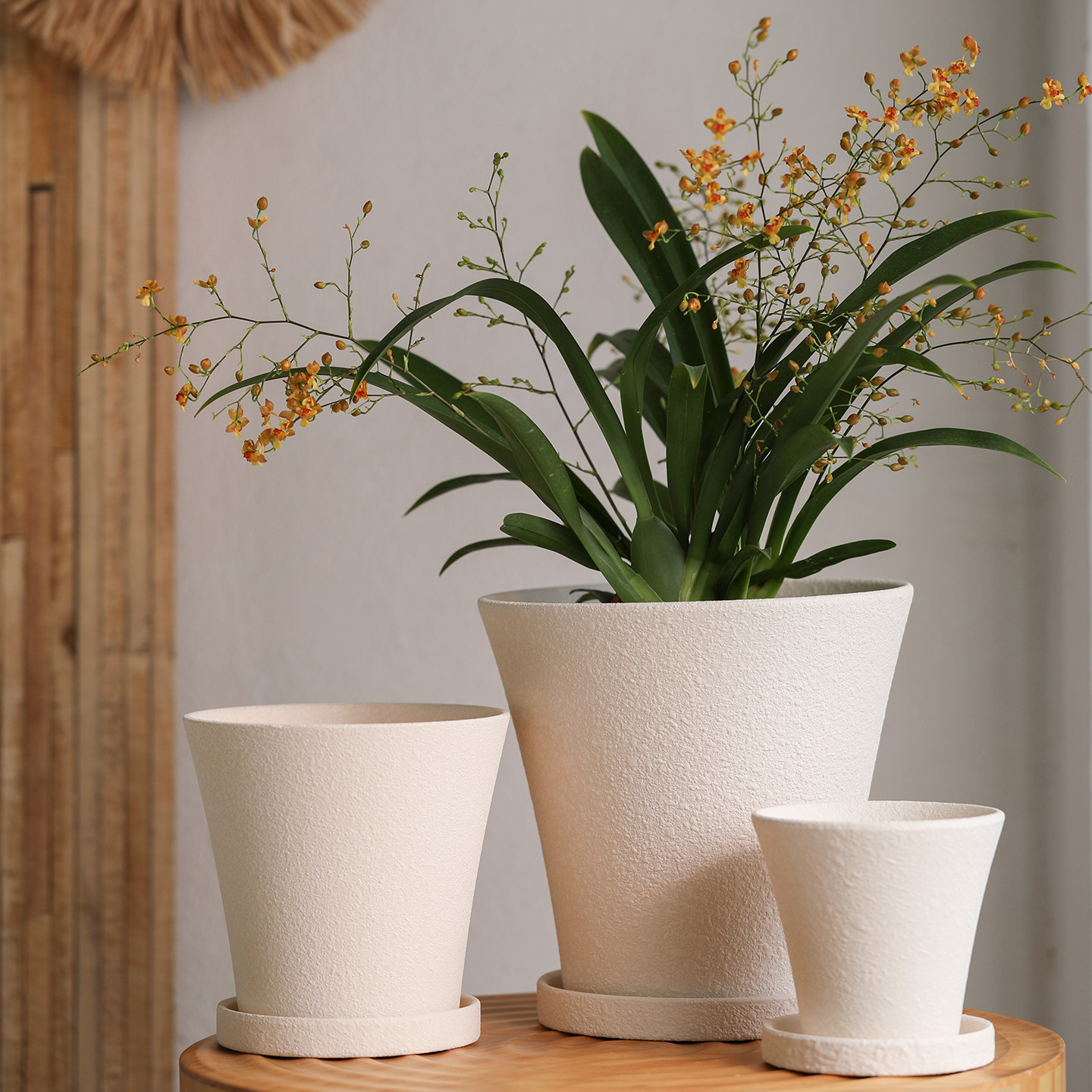 素烧粗陶白陶土花盆粗面陶泥浆透气陶瓷自吸水带托盘多肉兰花绿植,鲜花速递/花卉仿真/绿植园艺,花盆,淘宝优惠券,粉丝福利购,淘宝优惠卷