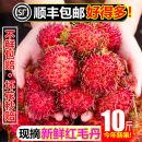毛荔枝甜红牡丹现摘整箱 红毛丹10斤新鲜水果当季 包邮 顺丰冷链