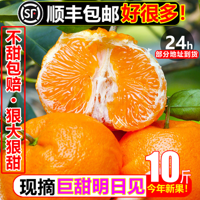 【顺丰次日达】明日见10斤巨甜桔