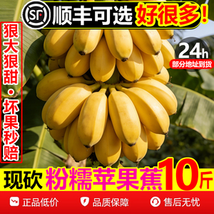 【顺丰次日达】纯甜粉苹果蕉10斤