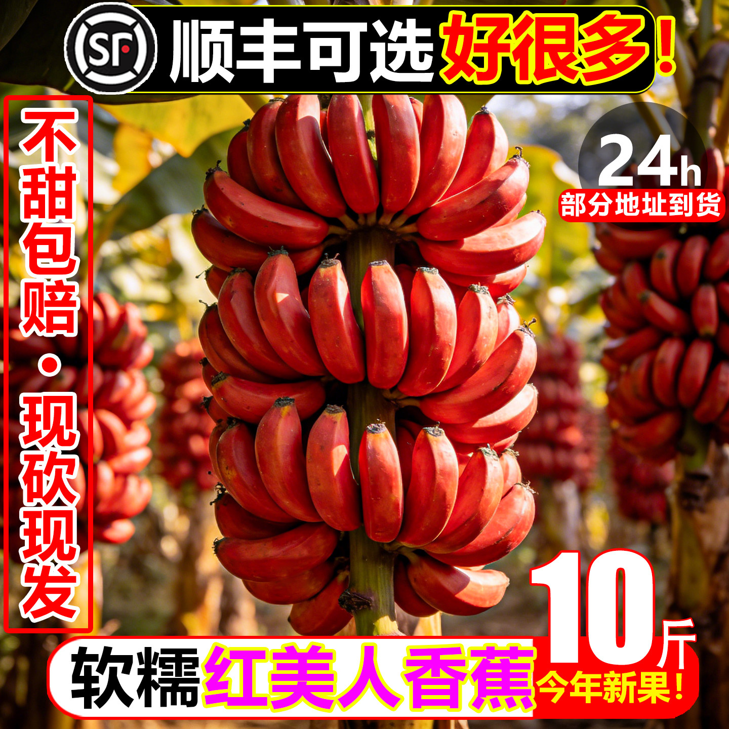 稀有红美人香蕉10斤新鲜水果红蕉banana甜糯香蕉现砍现发红皮芭蕉