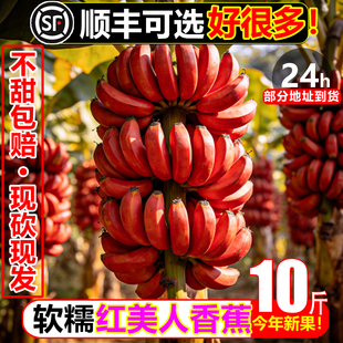 稀有红美人香蕉10斤新鲜水果红蕉banana甜糯香蕉现砍现发红皮芭蕉