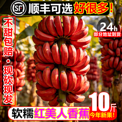 稀有红美人香蕉10斤新鲜水果红蕉banana甜糯香蕉现砍现发红皮芭蕉
