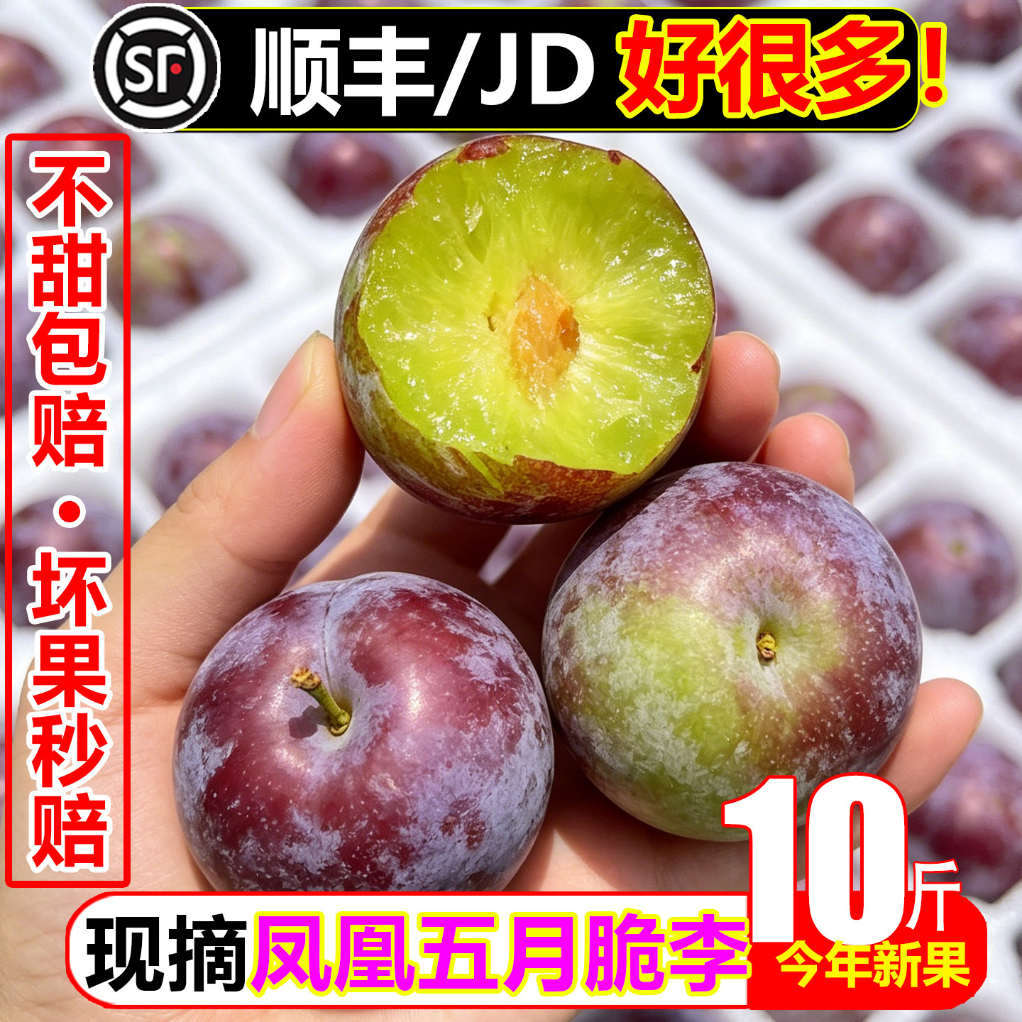 【顺丰次日达】五月脆李子10斤