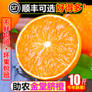 四川金堂脐橙10斤新鲜水果当季 手剥橙子整箱果冻大脐橙甜橙非赣州