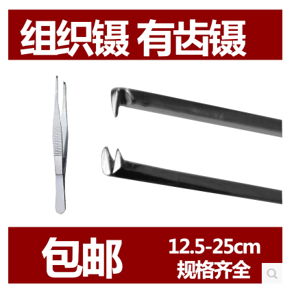 不锈钢医用组织镊加厚带齿有齿