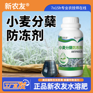 新农友【小麦分蘖防冻宝】防冻抗逆抗寒减轻冻害大田作物农用通用