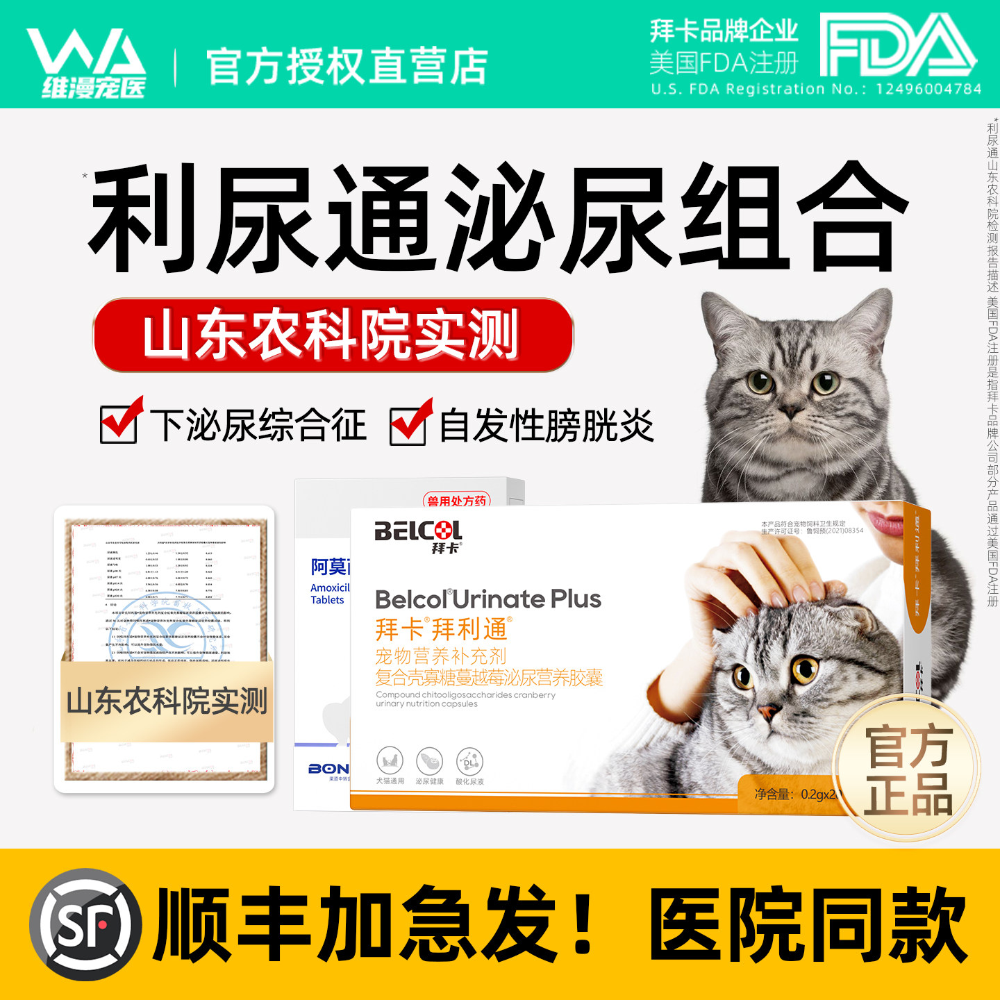 猫尿血丨泌尿感染药【顺丰加急】