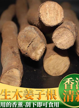 云南野生山胡椒根木姜子根柠檬香树根调味品特色香料厨房新鲜