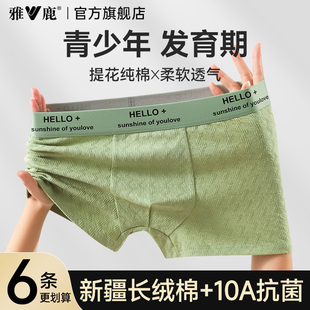 衩青少年 发育期初高中学生胖童平角短裤 雅鹿男孩纯棉男款 四角内裤