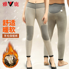 雅鹿保暖裤男四层加厚加绒冬季羊毛高腰中老年贴身弹力大码女棉裤