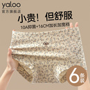 四角短裤 全棉10A抗菌透气大码 女士2025新款 雅鹿a类纯棉平角内裤