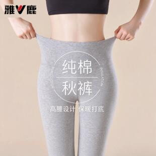 雅鹿高腰秋裤女士纯棉薄款冬季内穿保暖衬裤女款全棉毛裤线裤打底
