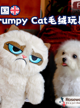 英国Grumpy Cat不爽臭脸猫发声玩具宠物猫狗毛绒玩偶安睡陪伴整晚