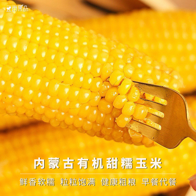 内蒙古糯玉米棒香糯早餐真空锁鲜
