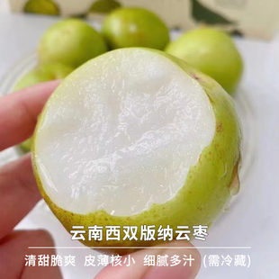 豆尚果品云南西双版纳云枣苹果枣汁水充沛脆甜可口顺丰台湾大青枣