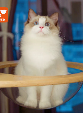 moko配件（搭配，产品未）猫爬架