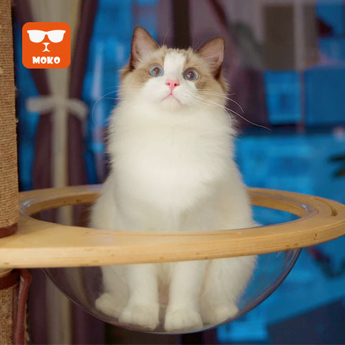 moko配件（搭配，产品未）猫爬架