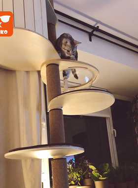 moko猫爬架通天柱猫猫架顶天立地一体猫抓板猫窝家具猫树