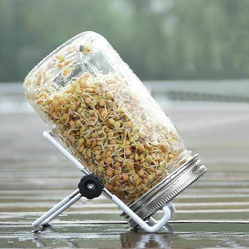 家用发芽罐生豆芽不锈钢发芽罐