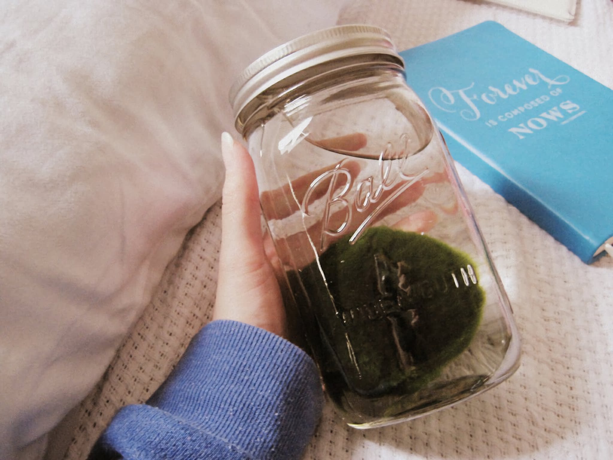 包邮mason jar 宽口梅森杯罐带盖吸管大容量密封罐冷食罐果汁杯