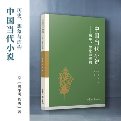 中国当代小说：历史、想象与虚构 周少明徐勇著 复旦大学出版社 小说研究中国文学小说发展