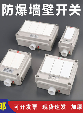 BQM-10国标工业EX防爆防腐消防照明220v10A一二三联双控墙壁开关