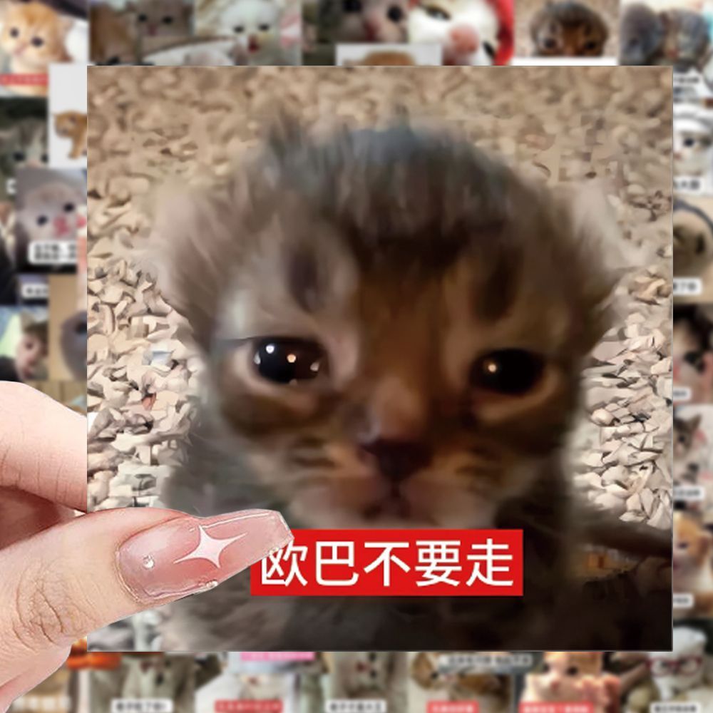 198张猫咪表情包贴纸创意抽象沙雕可爱趣味diy手机手账本防水贴画