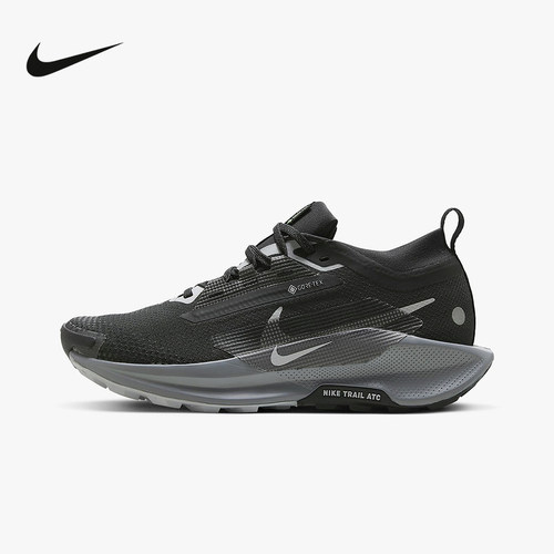 耐克女鞋NikePegasusT