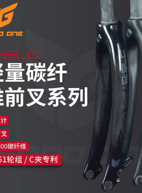 G-PRO ONE 20寸451折叠车自行车P8轻量碳纤维前叉C夹专用系列