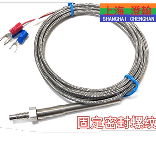 M6螺钉式 PT100固定螺纹热电阻 M6螺钉PT100温度传感器