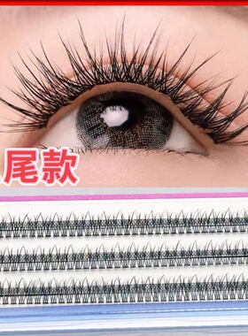 （拍2发3盒）超自然纤长浓密鱼尾款逼真自嫁接假睫毛特细超软朵毛