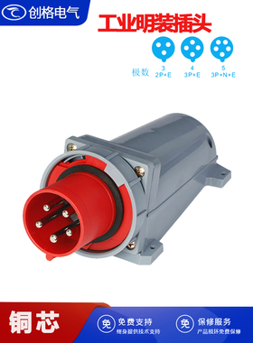 工业明装插头3芯4芯5芯 63A125A大电流防水防尘器具反插针式公头