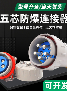三相五线无火花型防爆连接器15A25A32A60A100A150A200A300A插头座