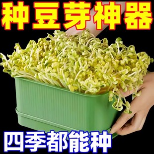 四季吃新鲜豆芽全自动豆芽发芽神器食品级大号水培育苗托盘专用盆