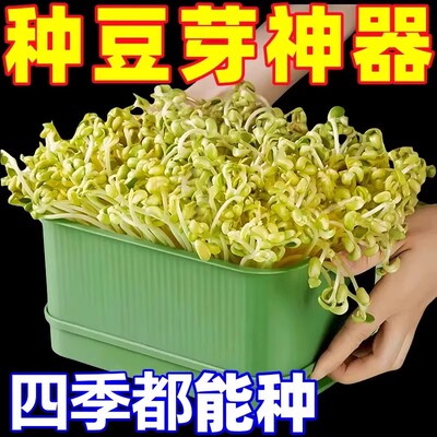 四季吃新鲜豆芽全自动豆芽发芽神器食品级大号水培育苗托盘专用盆