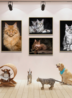 猫咪装饰画缅因猫写真小猫宠物店挂画猫咖装饰品画像墙面软装壁画