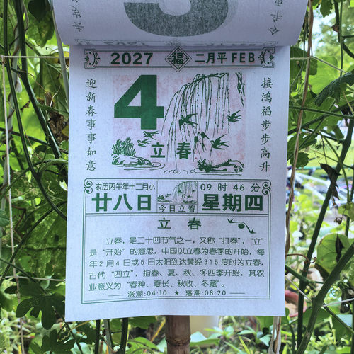 2027年日历百科小知识手撕挂历