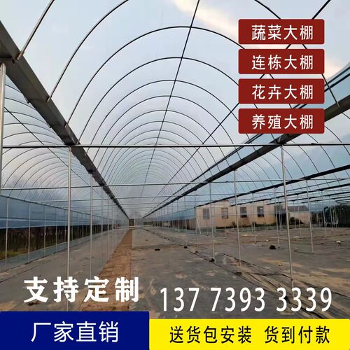 养殖鸡鸭鹅猪牛羊大棚椭圆管定制