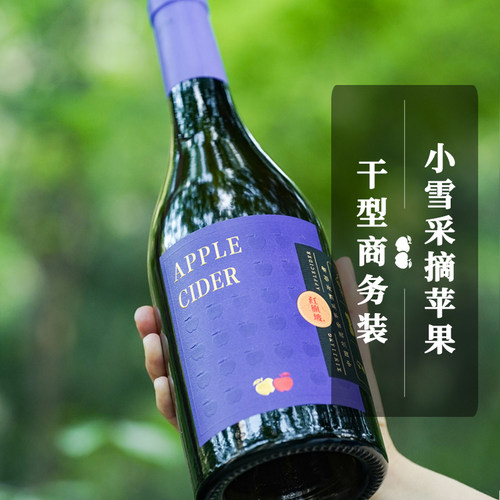 红旗坡女士微醺小酒新疆特产苹果酒12度750ml干型果酒